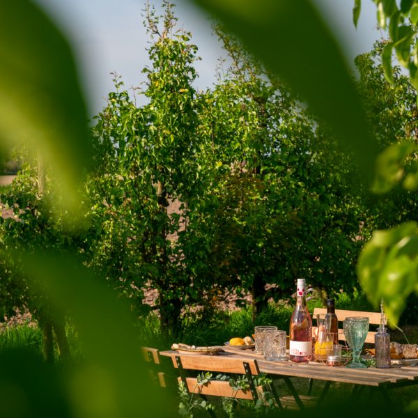 20230518_puurbycaro_zomer_perenbomen_68